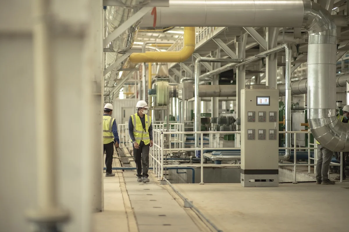 Growth & Sustainability